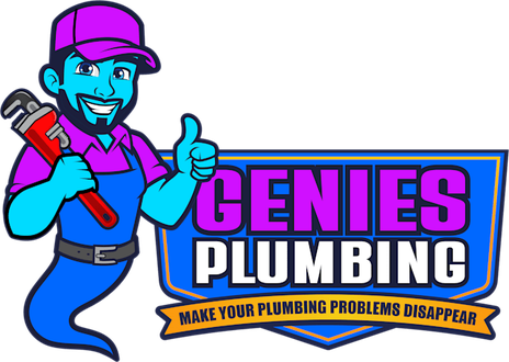 Genies Plumbing
