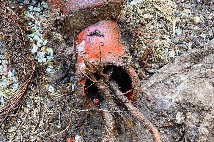 Blocked Drains