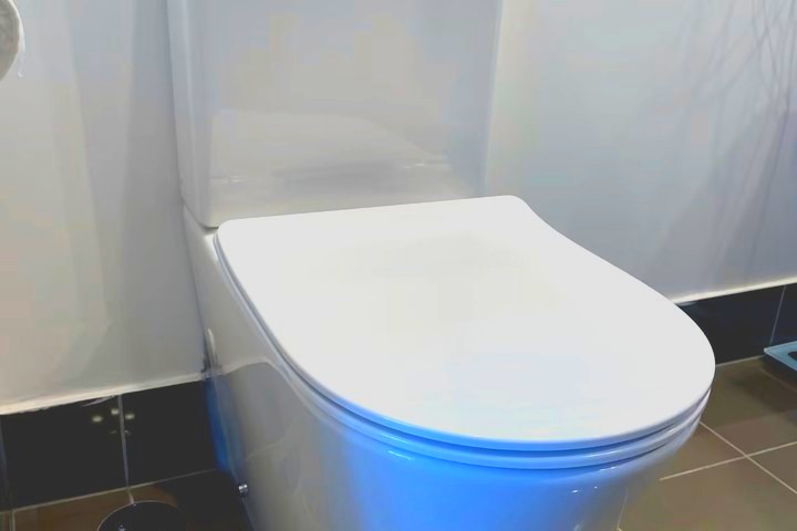 Blocked Toilets