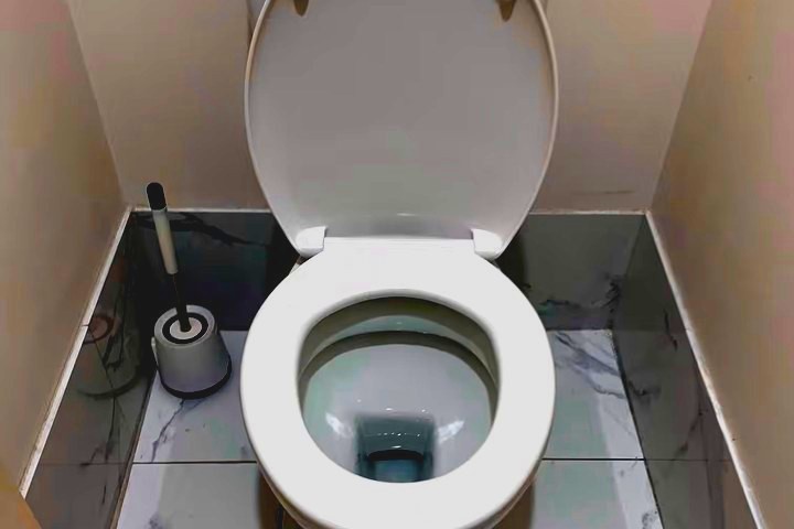 Toilet cleared and working again