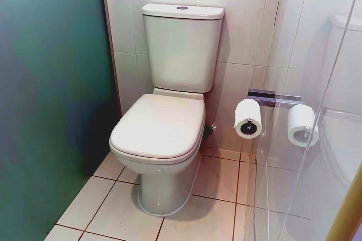 Toilet Repairs